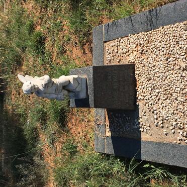 NIENABER Gawie 1962-1968