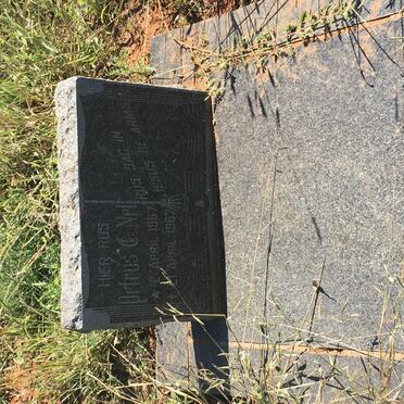 NEL Petrus C. 1967-1967