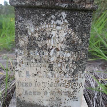 NICOLAI Lesley Arthur -1900