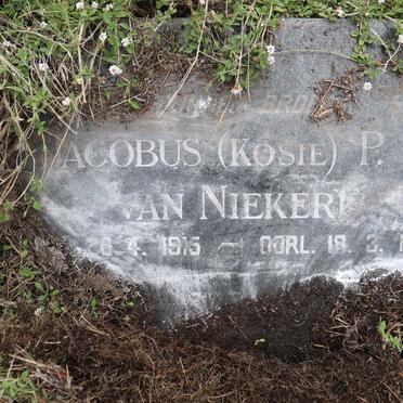 NIEKERK Jacobus P., van 1915-1934