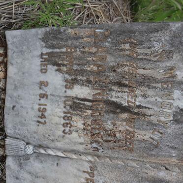 NICHOLSON Clara Z. 1863-1947