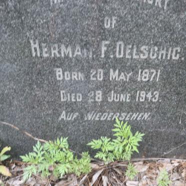 OELSCHIG Herman F. 1871-1943