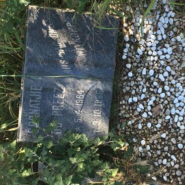 PREEZ Cornatjie, du 1964-1966