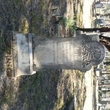 PIENAAR Johannes 1900-1919