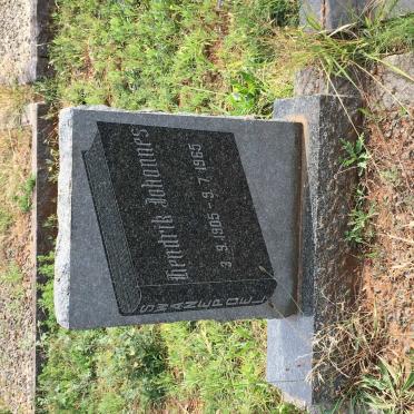 SWANEPOEL Hendrik Johannes 1905-1965
