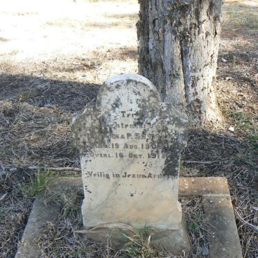 SNYMAN Johanna P. 1908-1918