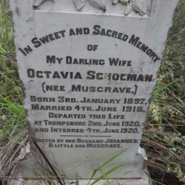 SCHOEMAN Octavia nee MUSGRAVE 1892-1920
