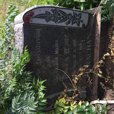 STRACHAN S.D.M. nee HUGO 1885-1965