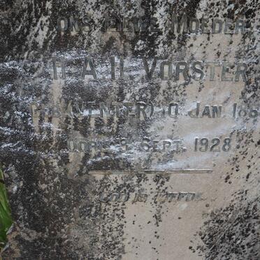 VORSTER H.A.H. nee VENTER 1868-1928