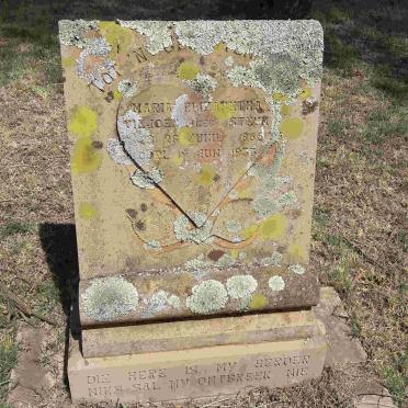 VILJOEN Maria Elizabetha nee STEYN 1865-1933