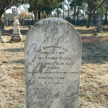 VILJOEN ? Petrus 1885-191? :: VILJOEN H?
