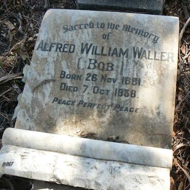 WALLER Alfred William 1881-1938