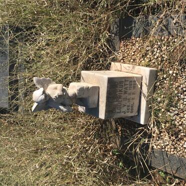 WATT Lodewikus J., v.d. 1965-1966