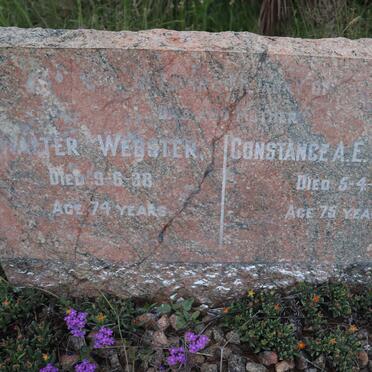WEBSTER Walter -1988 &amp; Constance A.E. -1941