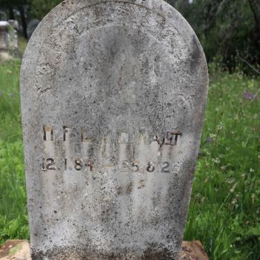 WALT H.F.L., v.d. 1884-1929