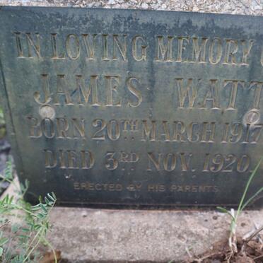 WATT James 1917-1920