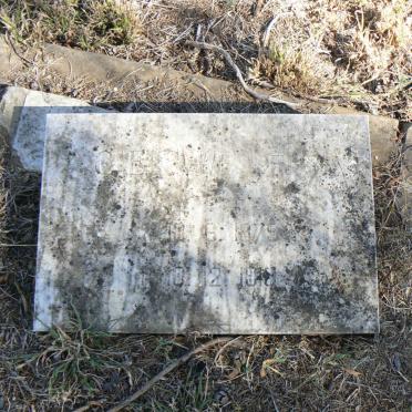WESSELS C.E. G.1875-1918