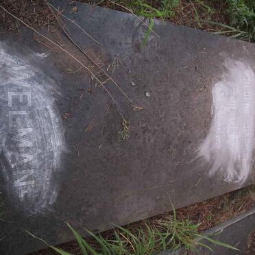 WELMAN Frederik Jakobus 1893-1953