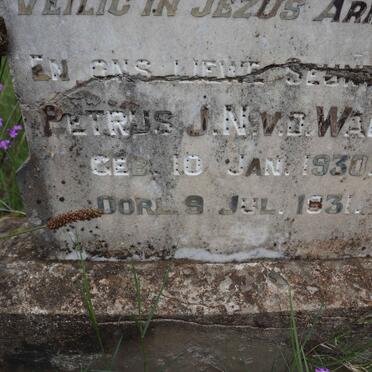 WALT Petrus J.N., v.d. 1930-1931