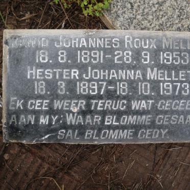 MELLET Dawid Johannes Roux 1891-1953 &amp; Hester Johanna 1897-1973