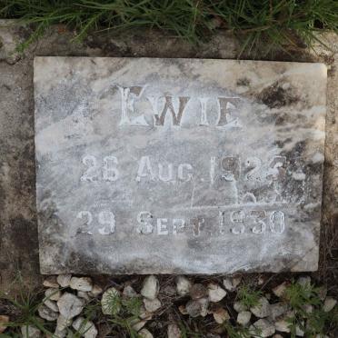 ? Ewie 1925-1930
