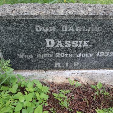 ? Dassie -1932
