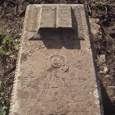 BRUWER B. de Wet 1884-