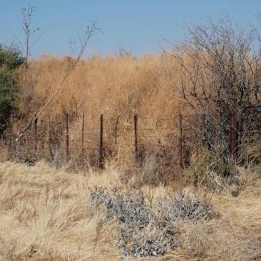 Free State, BOSHOF district, Dealesville, Goede Hoop 1354, Goedehoop, Single grave
