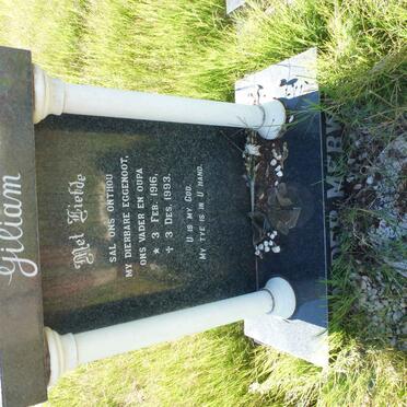 MERWE Giliam, van der 1916-1993