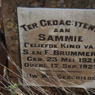 BRUMMER Sammie 1921-1927