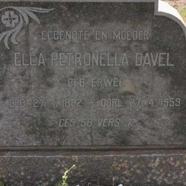 DAVEL Ella Petronella nee ERWEE 1882-1959