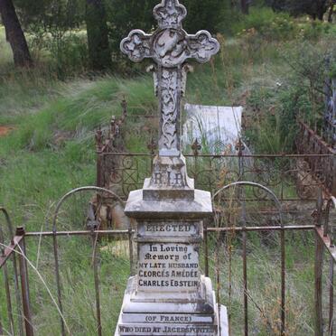 EBSTEIN Georges Amedee Charles -1894