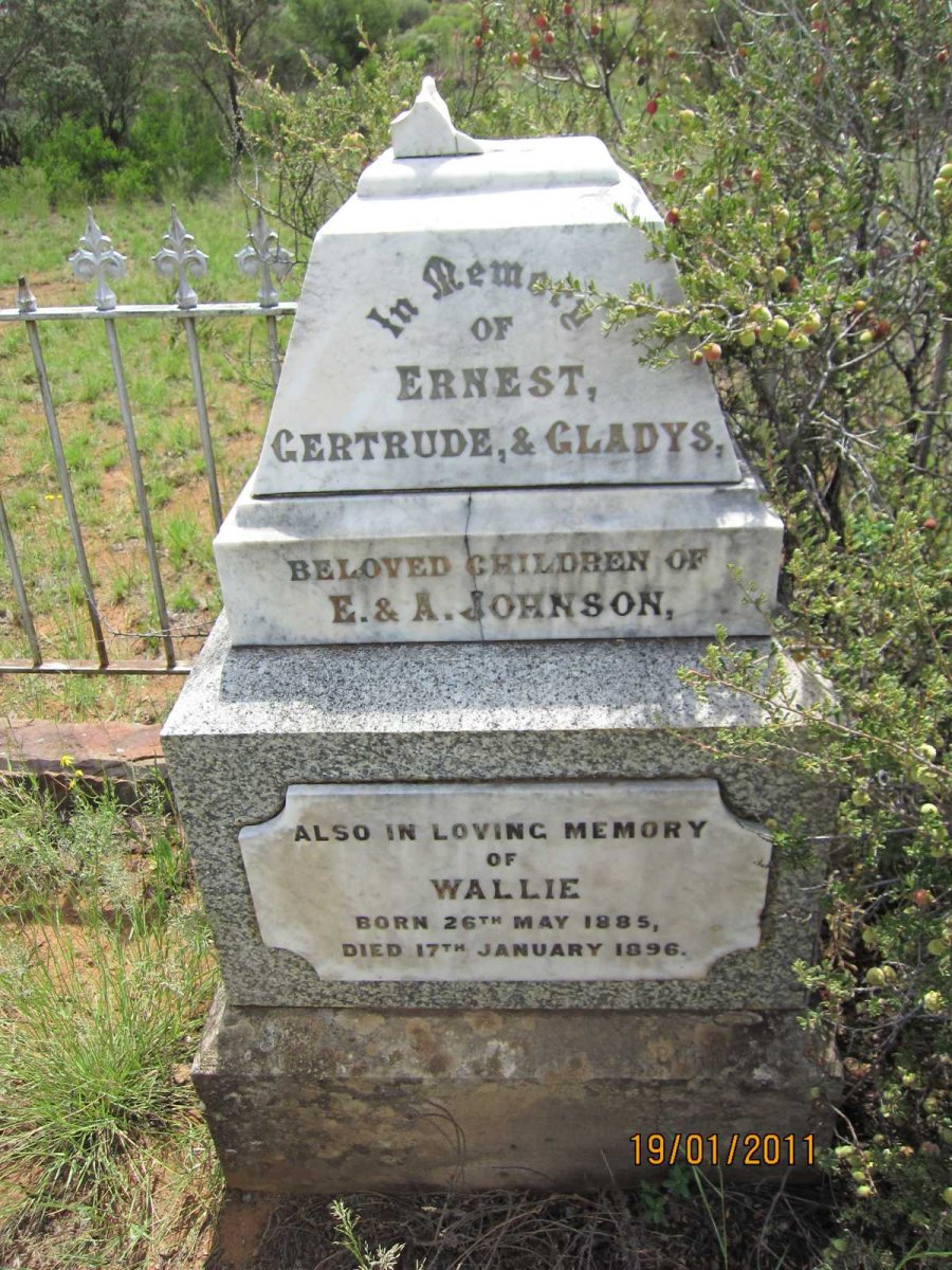 JOHNSON Ernest :: JOHNSON Gertrude :: JOHNSON Gladys :: JOHNSON Wallie 1885-1896