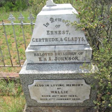 JOHNSON Ernest :: JOHNSON Gertrude :: JOHNSON Gladys :: JOHNSON Wallie 1885-1896