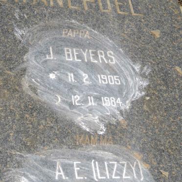 SWANEPOEL J. Beyers 1905-1984 &amp; A.E. VORSTER 1912-1999