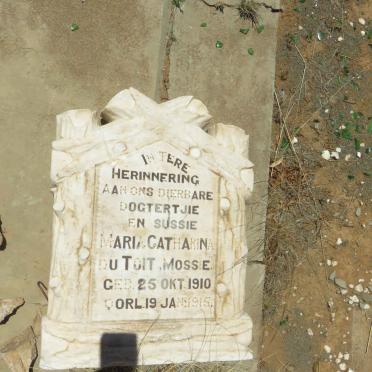 TOIT Maria Catharina, du 1910-1915