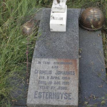ESTERHUYSE Cornelis Johannes 1954-1955