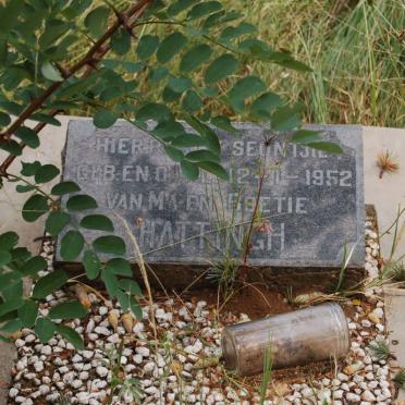HATTINGH 1952-1952