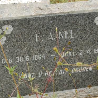 NEL E.A. 1864-1946