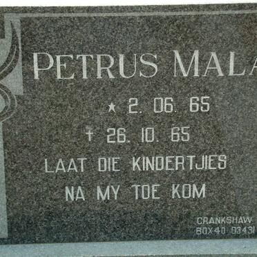 MALAN Petrus 1965-1965