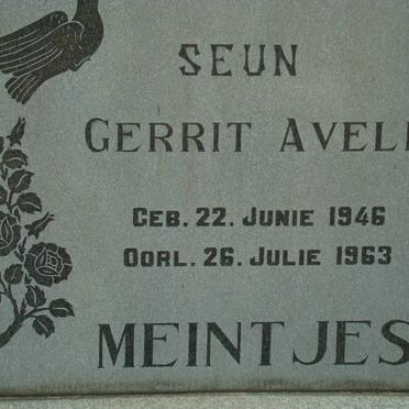 MEINTJES Gerrit Aveling 1946-1963