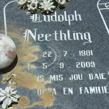 NEETHLING Ludolph 1981-2009