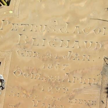 BLIGNAUD Petrus Jacobus 1857-1922