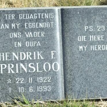 P - Vanne :: Surnames - P