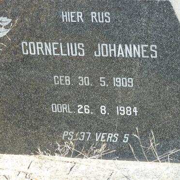 RIDDER Cornelius Johannes, de 1909-1984 &amp; Christina Jacoba FRITZ 1905-2000
