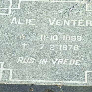 VENTER Alie 1899-1976