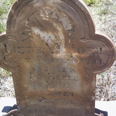 VILJOEN Pieter 1912-1920