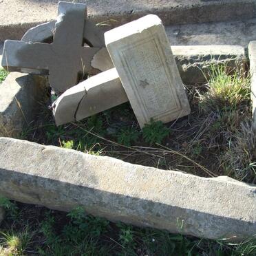 TOIT Johannes Stephanus, du 1919-1919