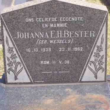BESTER Johanna E.H. nee WESSELS 1938-1962