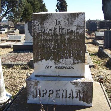 DIPPENAAR Helena Johanna C. C. nee SCHEEPERS 1885-1950